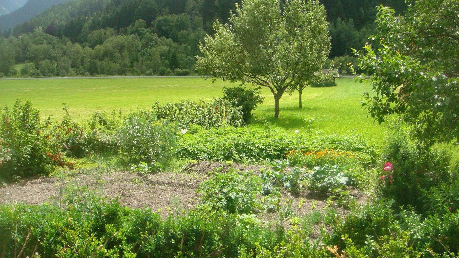 Bio-Bauernhof Obertrattenbachhof Neukirchen am Großvenediger エクステリア 写真