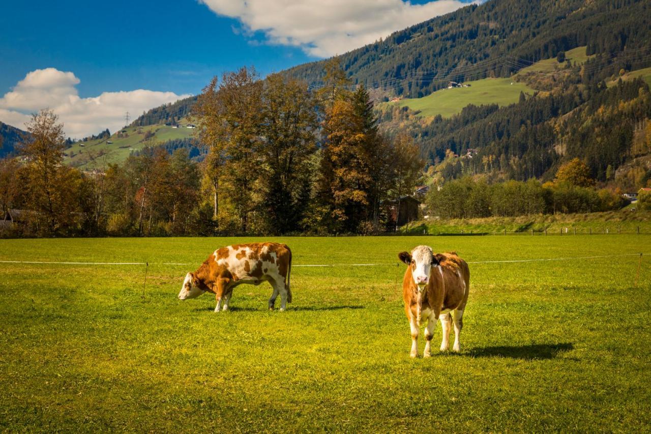 Bio-Bauernhof Obertrattenbachhof Neukirchen am Großvenediger エクステリア 写真